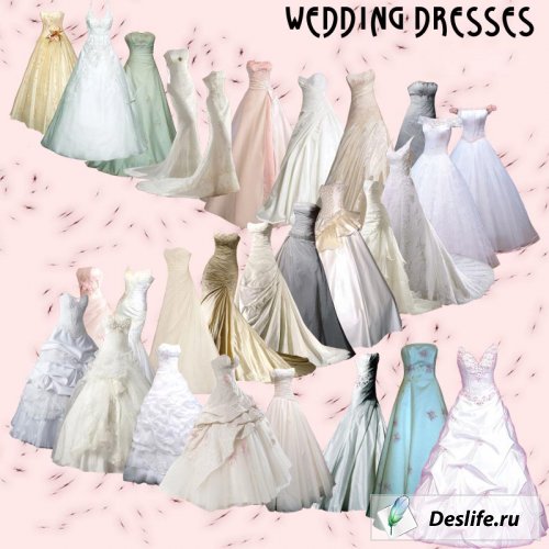   - Wedding Dresses (PSD)