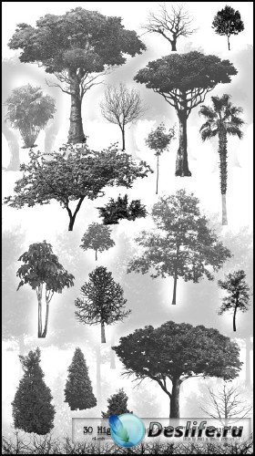 30 PS HighRes Tree Brushes