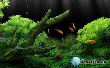 Dream Aquarium 1.214 (Full Registered) (2009)