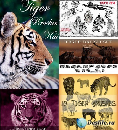 Tiger Photoshop Brush Pack