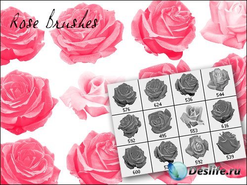 Кисти для фотошопа с розами (Rose Brushes)