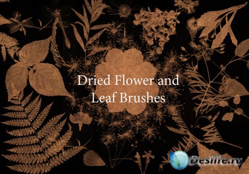 Dried Leaves Flower Brushes