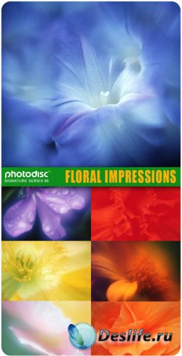   - Floral Impressions