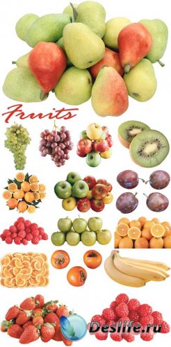 Fruits -   