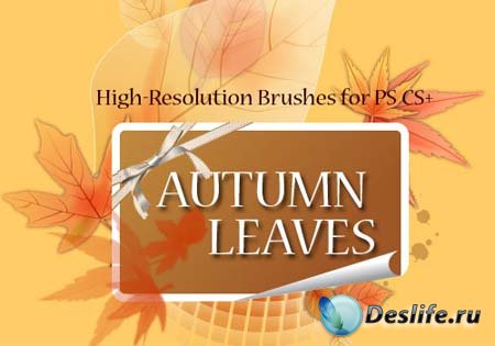    -   (Autumn Leaves Brushes)