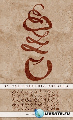 Calligraphic brushes