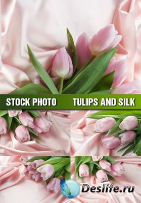 Stock Photo - Тюльпаны и шелк