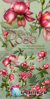    - Glory rose