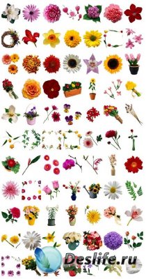 Stock Photo: Just Flowers