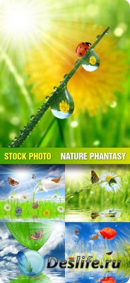 Stock Photo - Nature Phantasy