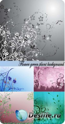 Stock Photo: Flower green plant background