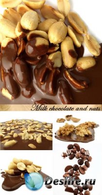 Stock Photo: Milk chocolate and nuts