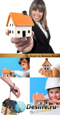 Stock Photo: The house in human hands