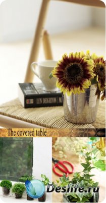 Stock Photo: The covered table