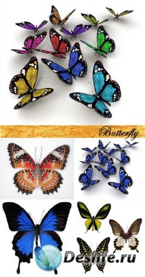 Stock Photo: Butterfly