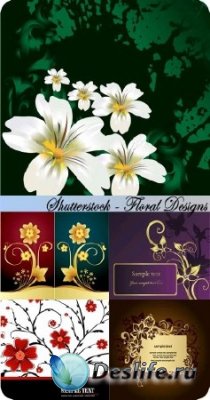 Векторный клипарт - Floral Designs