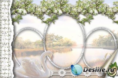 Background for wedding album - PSD