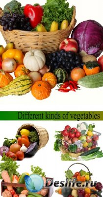 Stock Photo: Different kinds of vegetables