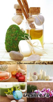 Stock Photo: Spa essentials and skin care