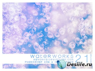 Waterworks Brushes -   