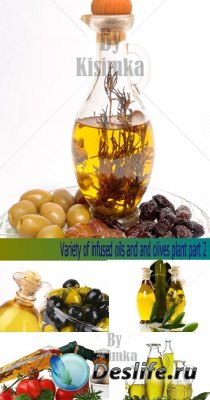 Stock Photo: Variety of infused oils and olives plant. Part 2