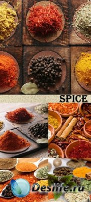 Stock Photo: (Специи) Spice