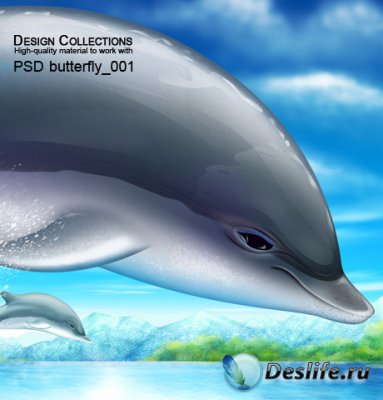 Дельфин - PSD исходник