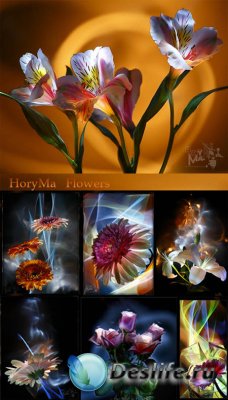 Фоторабота - HoryMa цветы