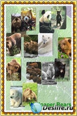 Wallpaper Bears / Медведи на обоях