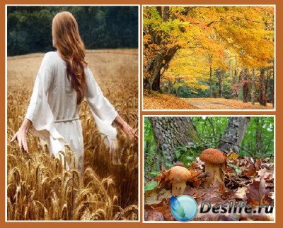 Красоты природы (подборка №10 - Осень)