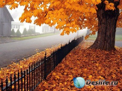 Красоты природы (подборка №10 - Осень)