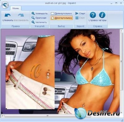 Teorex Inpaint 3.0 (Rus)