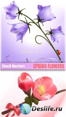 Stock Vector - Spring Flower