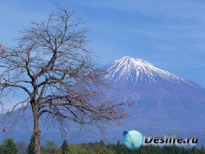Вокруг света (подборка №4 - Священная гора Фудзияма в фотографиях)