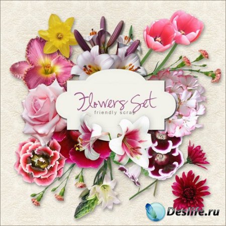   Flowers Set