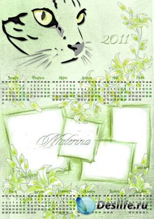Календарь - рамка для фотошопа на 2011 год - Оригинальный