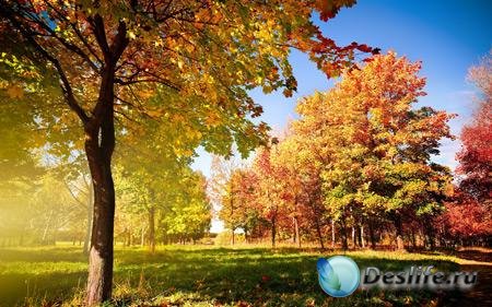 Best HD Wallpapers Pack 120 -    