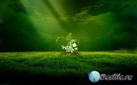 Best HD Wallpapers Pack 131 -    