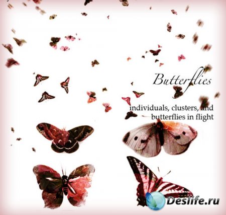 Кисти для фотошопа - Бабочки (Butterflies)