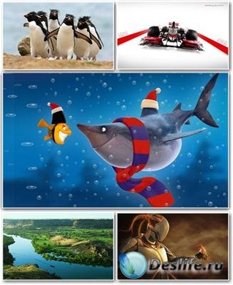 Best HD Wallpapers Pack 178 -    