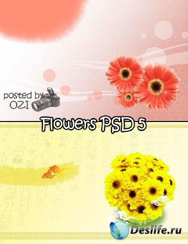    - Flowers backgrounds PSD 5