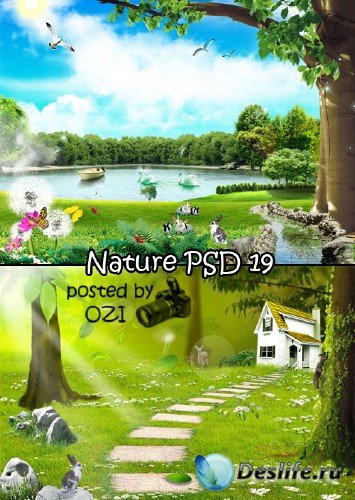   - Nature PSD 19