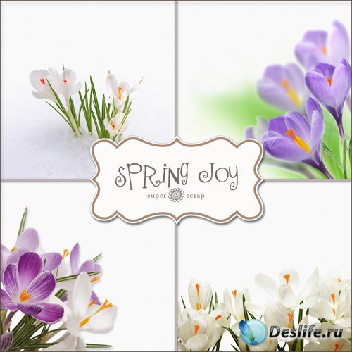    -   (Spring Joys)