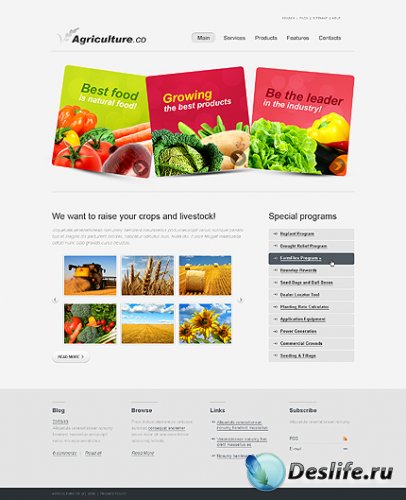 Agriculture Company Website Free Template
