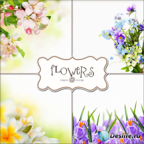 Цветочные фоны для фотошопа (Flowers Backgrounds #21)