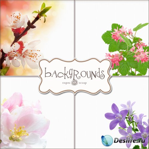     (Flowers Backgrounds #18)