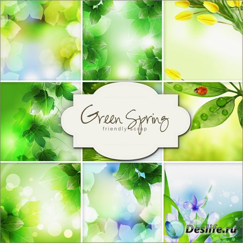 Textures - Green Spring