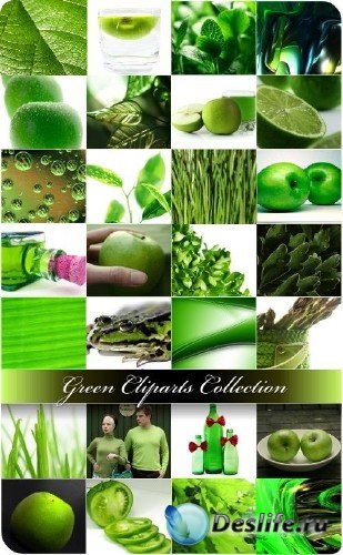 Коллекция клипартов в зеленом стиле
