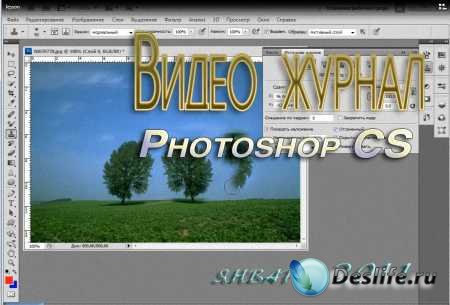  Photoshop CS ( 2011)