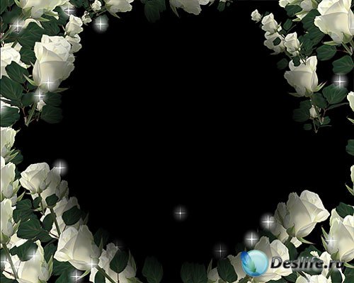 Свадебный футаж – Рамка из белых роз